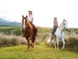 Hawaii Activities Discount. Hawaii Activities Discount.